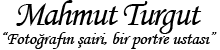 logo shape